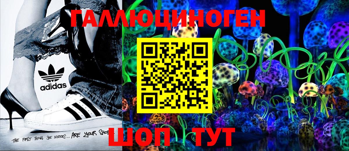 Псилоцибиновые грибы Psilocybe  Вход с VPN  Кизилюрт 