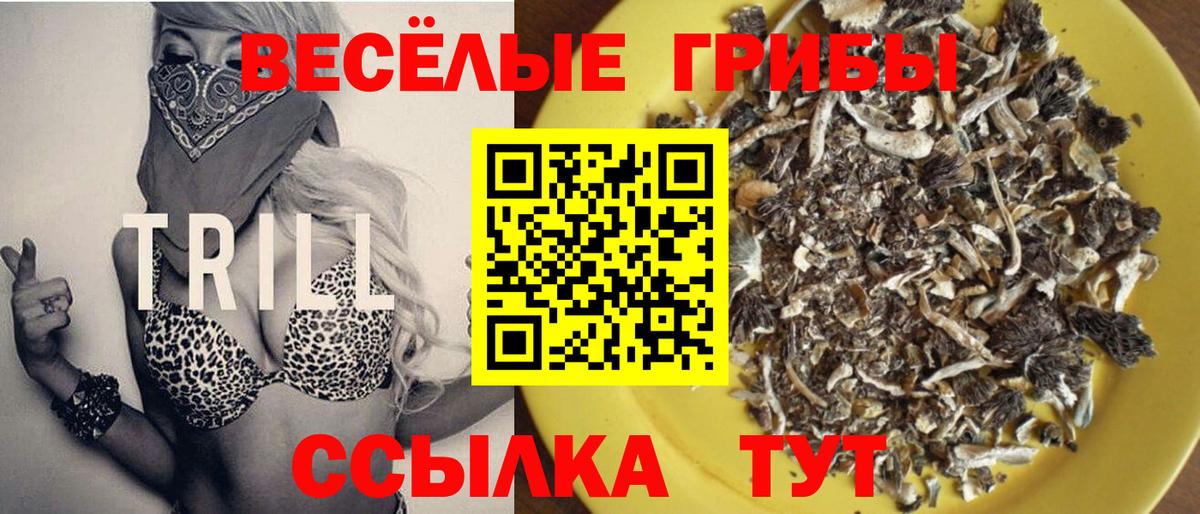 Галлюциногенные грибы ЛСД Кизилюрт