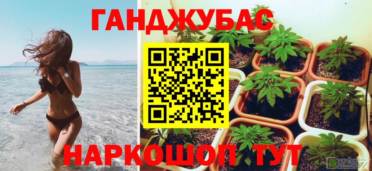 Марихуана Amnesia  Конопля AK-47  Кизилюрт  Конопля конопля  Вход с VPN  Бошки Шишки Amnesia 